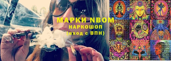 тгк Алзамай
