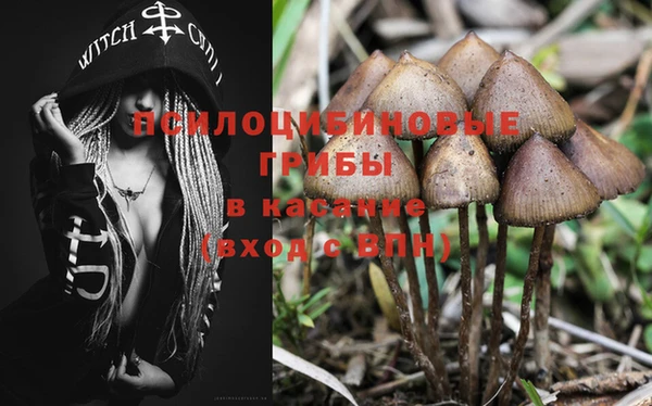 тгк Алзамай