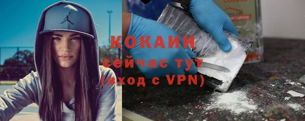 тгк Алзамай